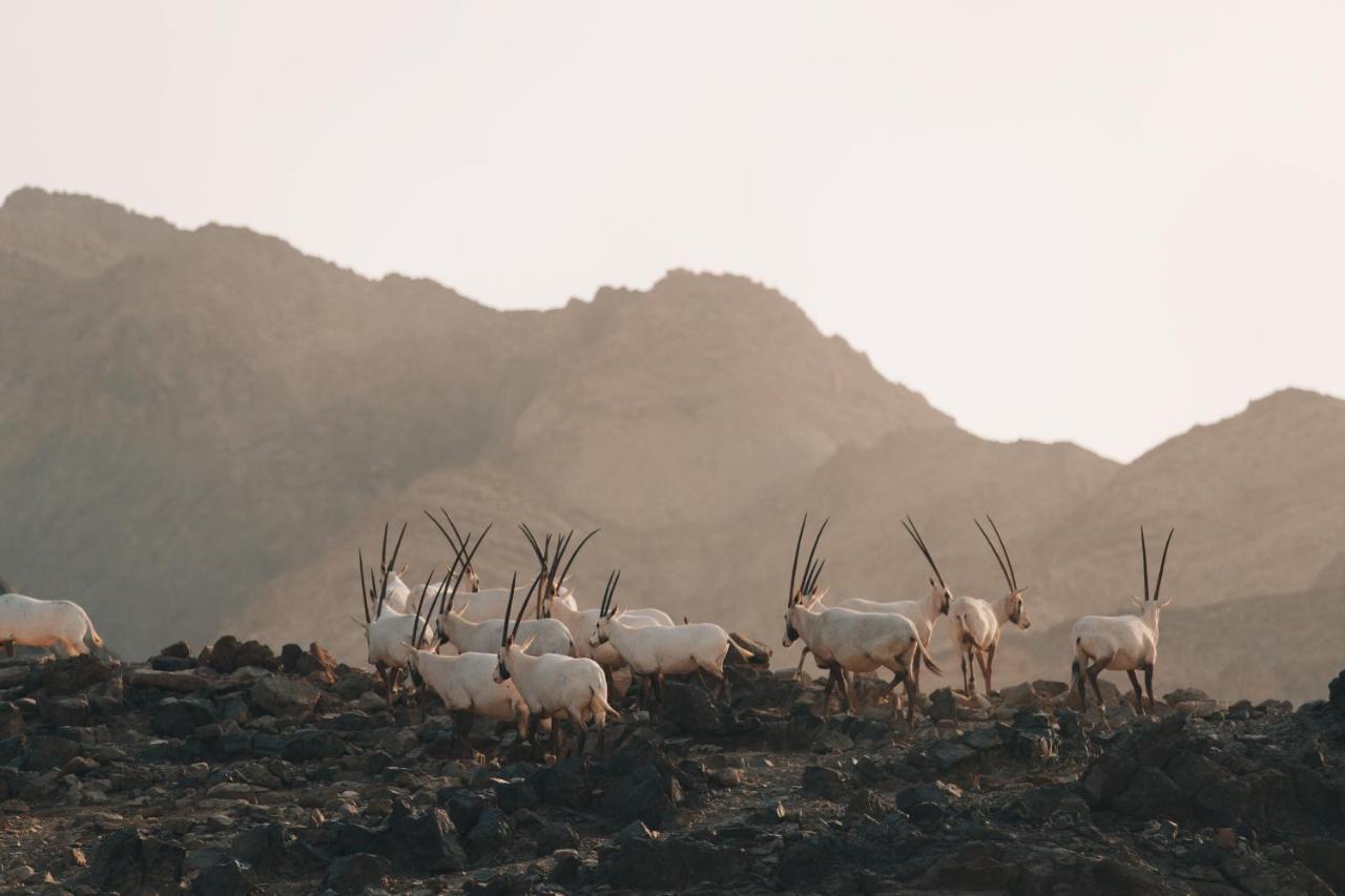 Hatta Resorts 外观 照片